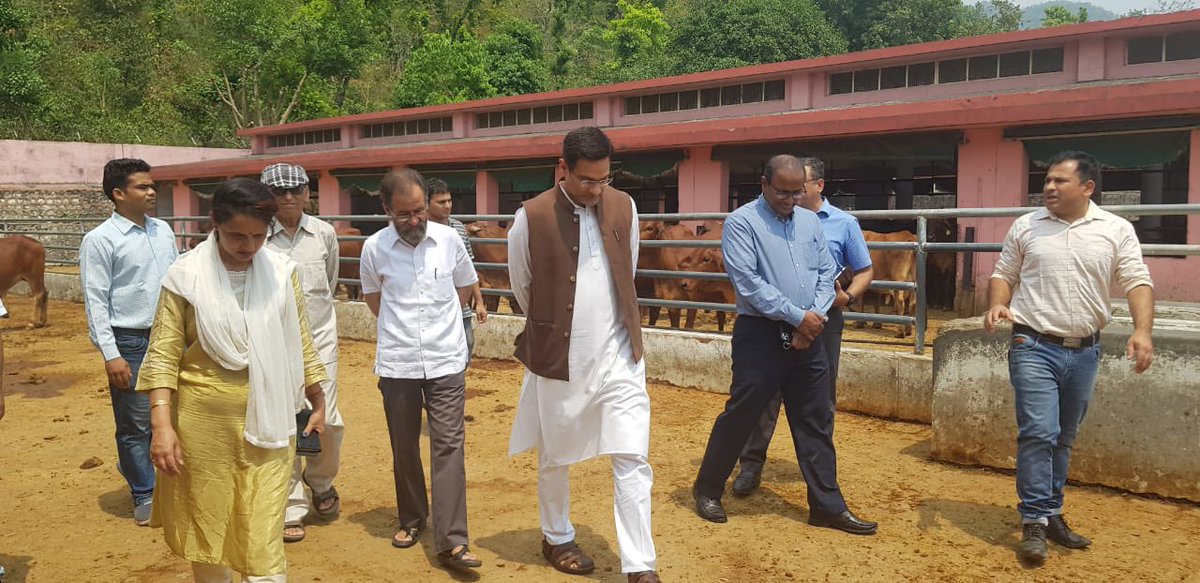 madhuchauhanbjp's tweet photo. A small visit to Dairy farm at Kalsi with cabinet minister Shri Saurabh Bahuguna ji, MLA Vikasngar Shri Munna Singh Chauhan ji and secretary Shri Purushotam ji https://t.co/pPZqXRgx2X