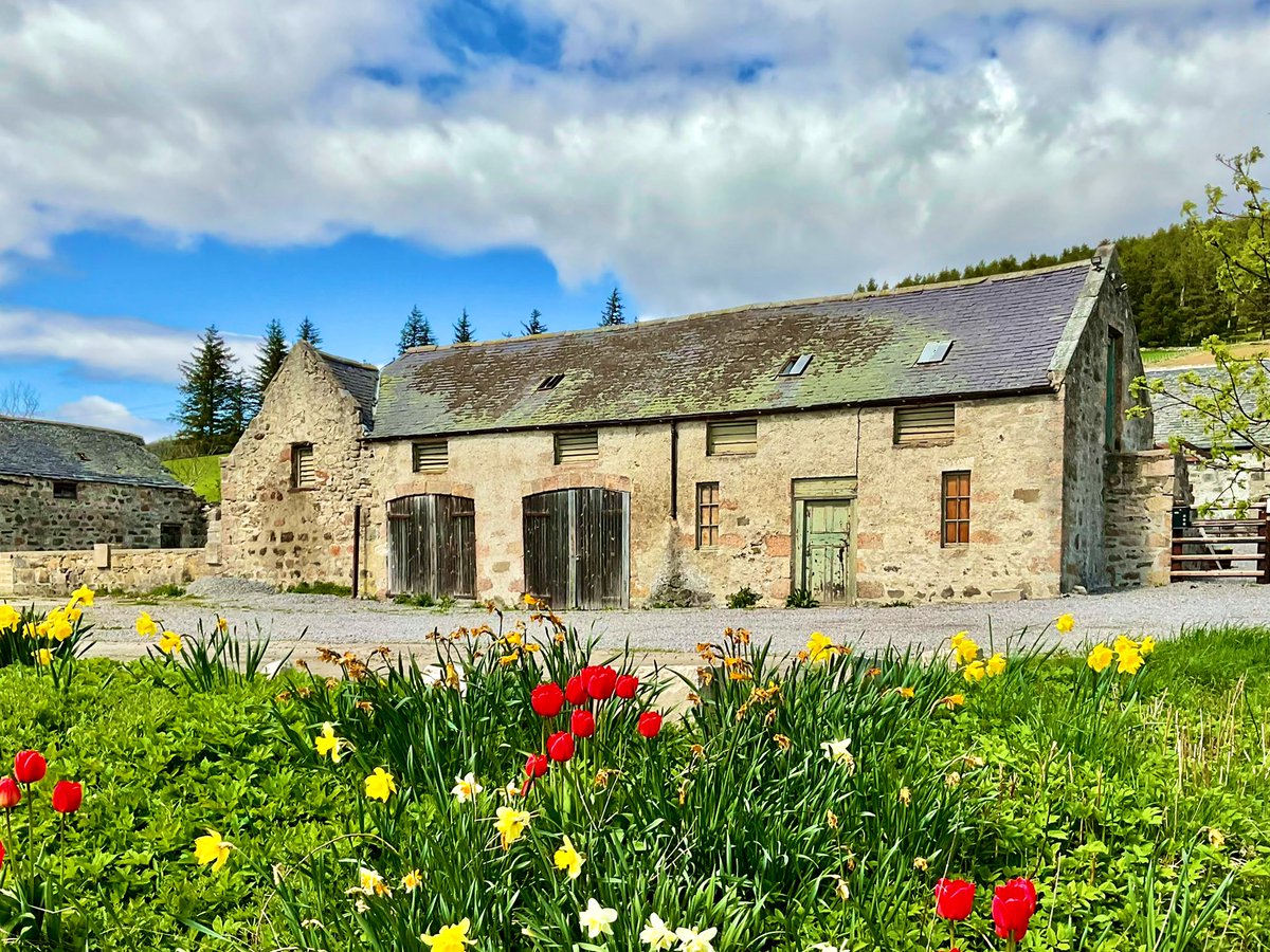 TheMackWalks's tweet photo. Today, Strathdon💙 #walking #hiking #bellabeg #forbestown #strathdon #coulickhill #colquhonnie #aberdeenshire https://t.co/FnaA9tbQMr