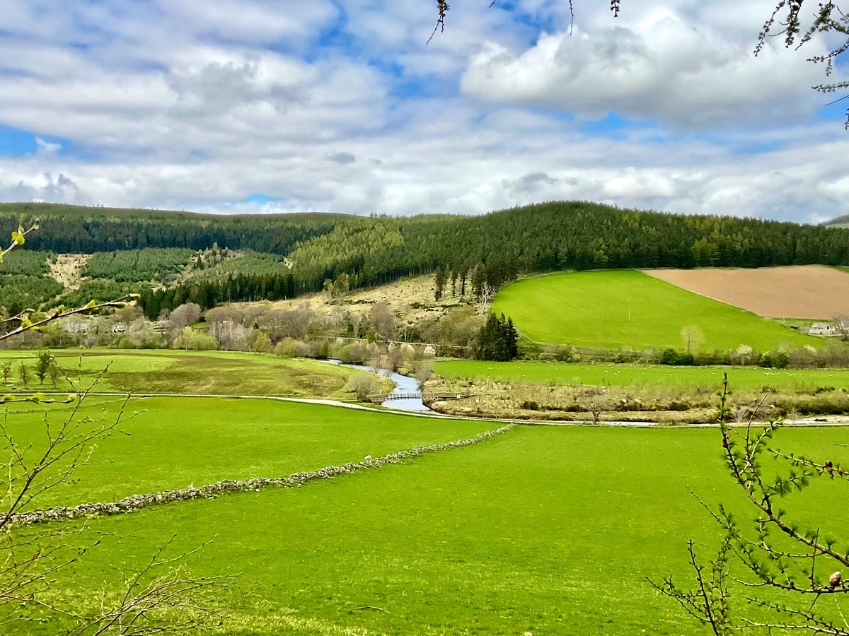 TheMackWalks's tweet photo. Today, Strathdon💙 #walking #hiking #bellabeg #forbestown #strathdon #coulickhill #colquhonnie #aberdeenshire https://t.co/FnaA9tbQMr