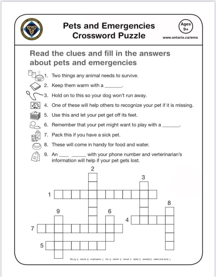 A fun emergency preparedness activity for a Friday afternoon!
