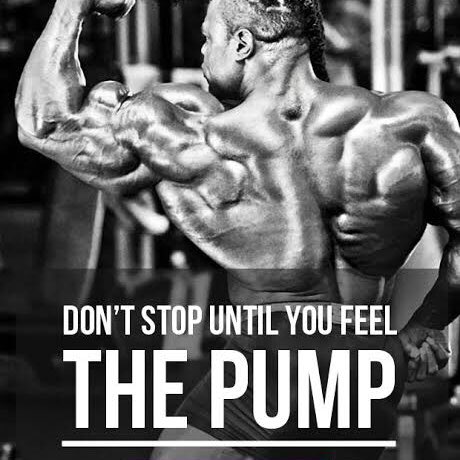 VeChatz's tweet photo. Mad viking GYM always gives me the best pump. 💪 $MVG #VeAm #SolanaNFTs #Ethereum #VeChain @MadVikingGames https://t.co/5KJ5boGVzN