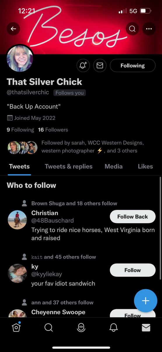 That Silver Chick tweet media
