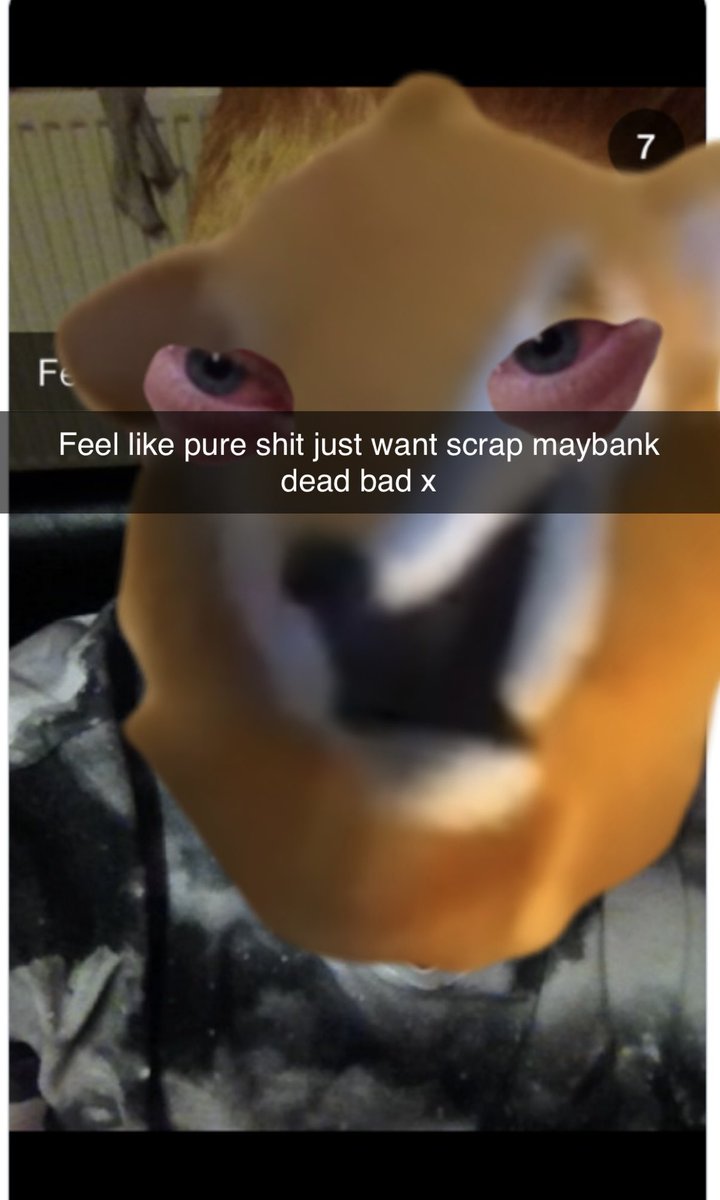 Scrappy Mcscrapburg (@scrappyburg) on Twitter photo 