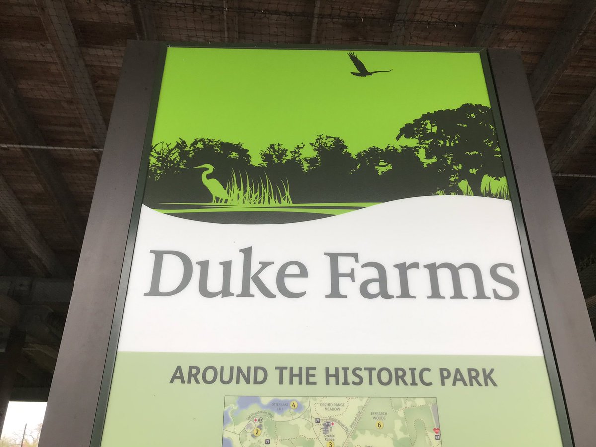 Roosevelt School Manville tweet media