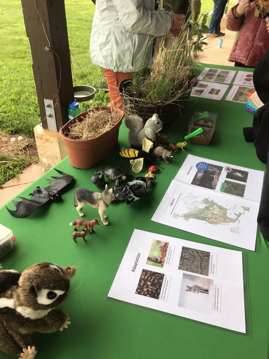 Roosevelt School Manville tweet media