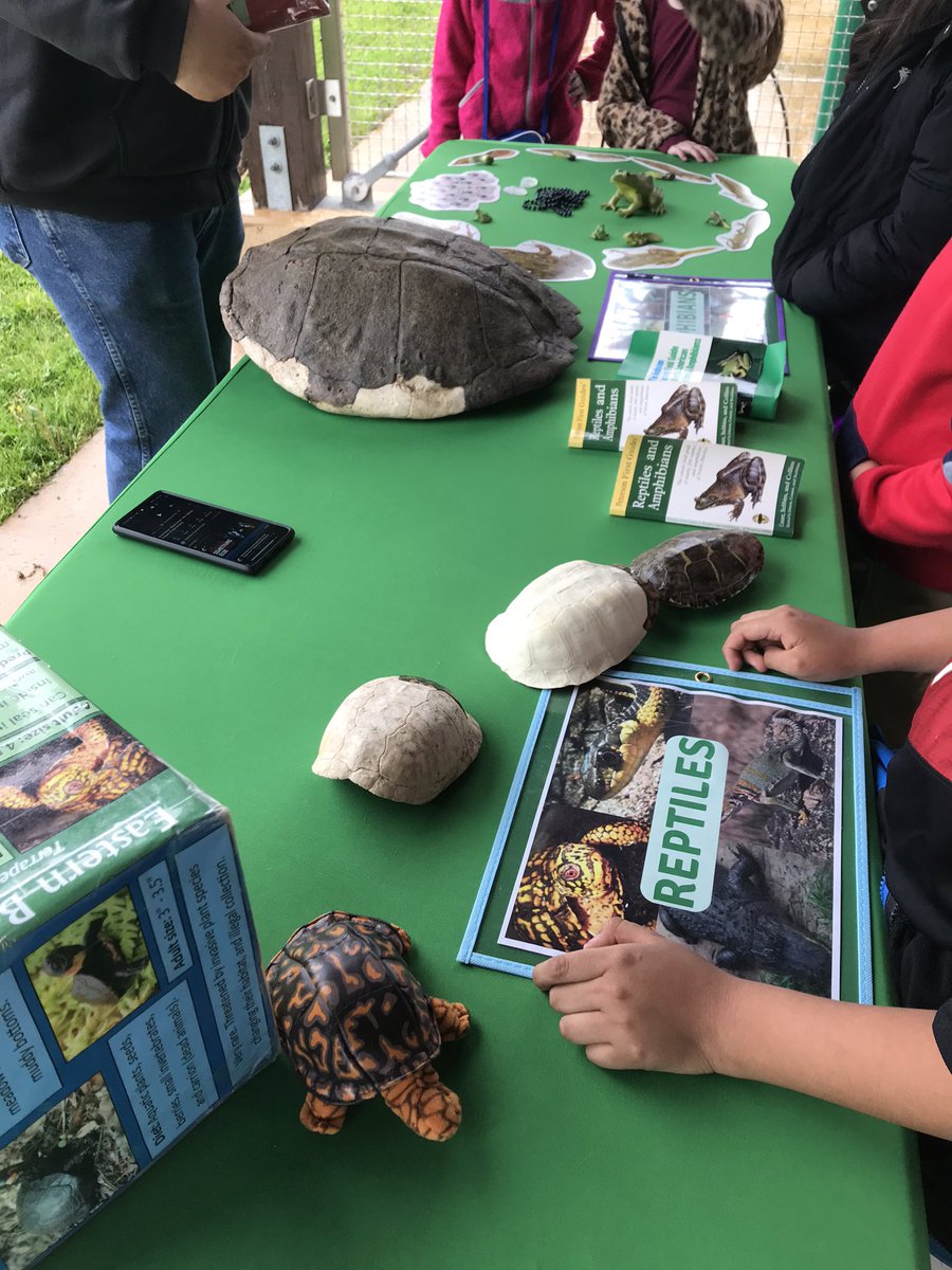 Roosevelt School Manville tweet media