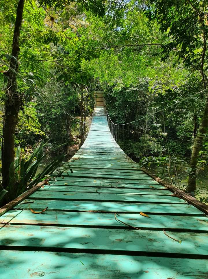 Roberto00436790's tweet photo. Plan your summer vacation in warm and sunny Belize. Visit our website at https://t.co/yKmennokQI for more information.  #tripcontact #travelcontact #visitbelizein2022🏖🏝🇧🇿😎🏊‍♀️🚣‍♂️ #belizetravelguide #bookyourstaywithus https://t.co/XC7Umj6CZa