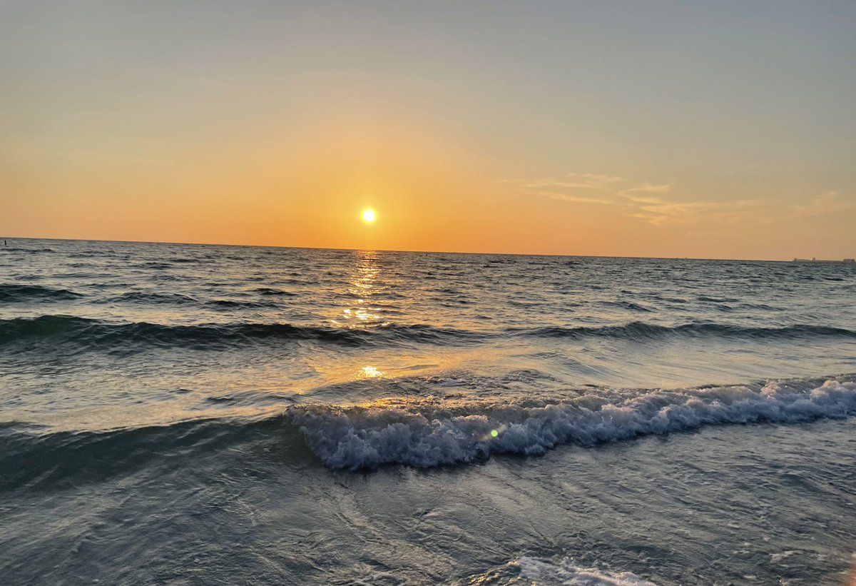 summermarkayla's tweet photo. Tampa photo dump 🥳🌅 https://t.co/pM3nySU4Nx