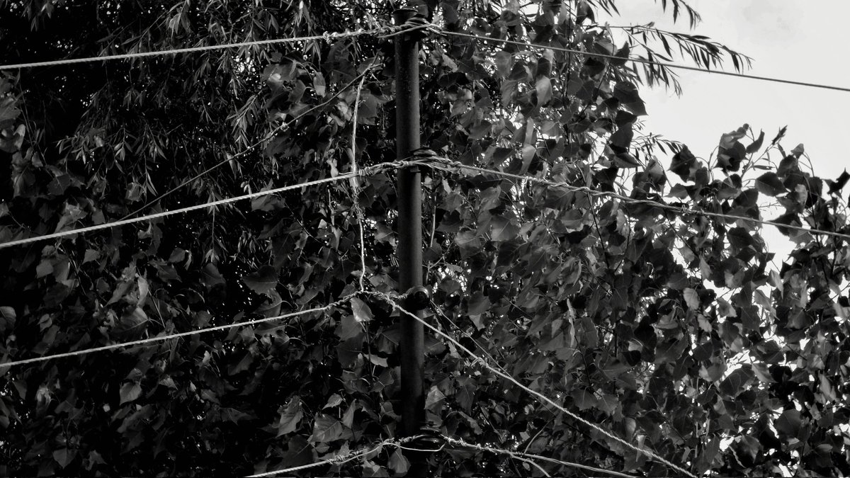 raashidjk's tweet photo. FOUR LEVELS.

There are ups, downs, lefts and rights in every phase of existence but if one will not overcome them and discover the true motive of self... 

Shots with @bEkhusHaL 

#sopore #baramulla #srinagar #botingoo #electricity #kashmir https://t.co/Sr2Ix90RQ8