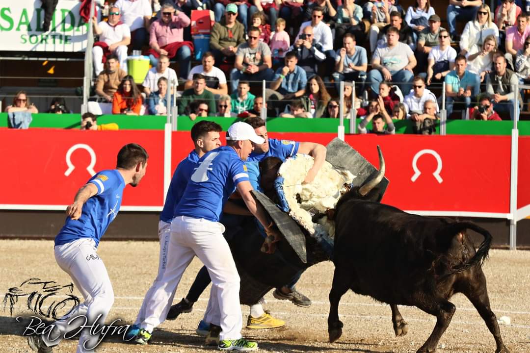asesoriataurina's tweet photo. 🐂 Fotos del pasado concurso de #roscaderos de Tauste (#Zaragoza) by Bea Hufra.
https://t.co/am5xrE4AA4 https://t.co/GmJMLPU6M9