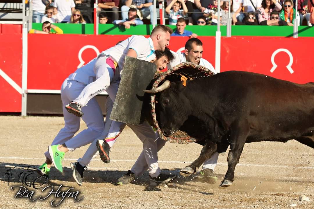 asesoriataurina's tweet photo. 🐂 Fotos del pasado concurso de #roscaderos de Tauste (#Zaragoza) by Bea Hufra.
https://t.co/am5xrE4AA4 https://t.co/GmJMLPU6M9
