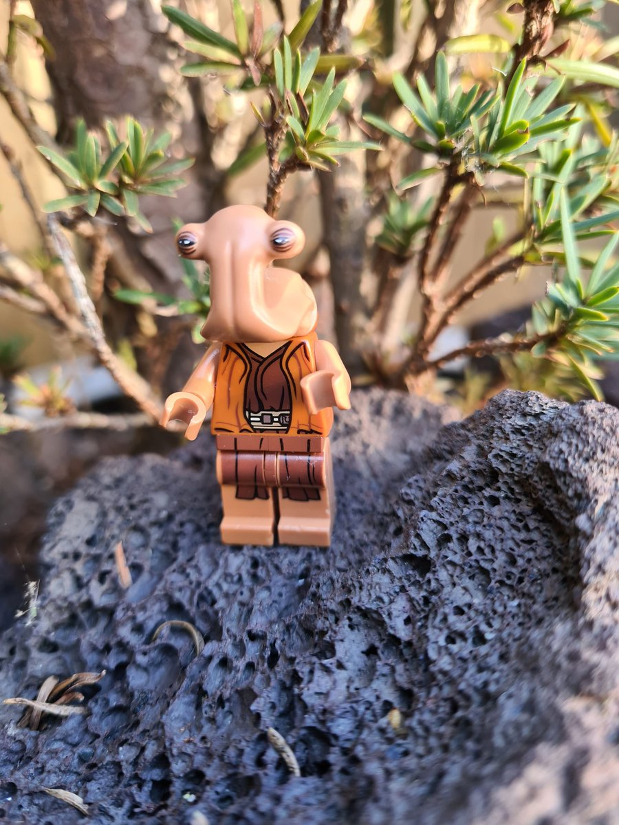 martin78k's tweet photo. Love my new star wars minifigure Ithorian a.k.a. Hammerhead! #starwars #lego #minifigure #ithorian #jedi #force #ithor #hammerhead https://t.co/V56lUl3qxi