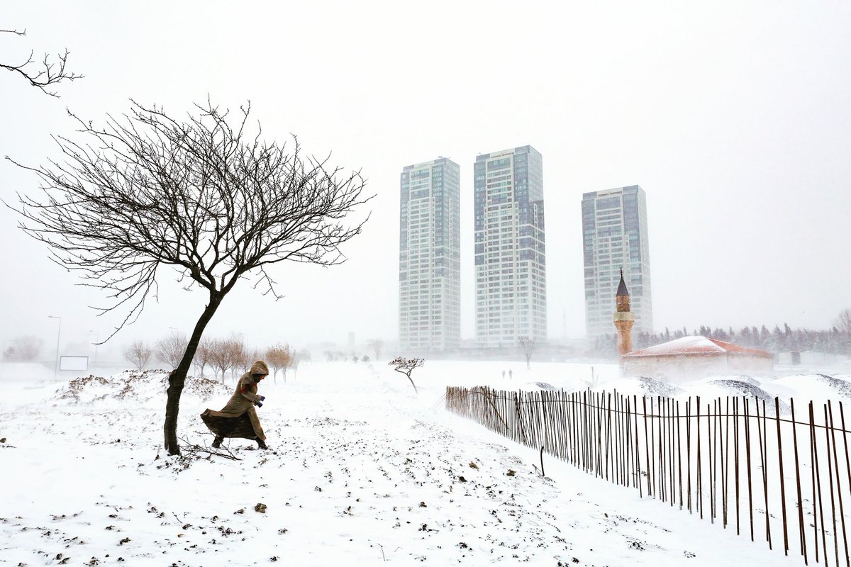 Ge #nfts #NFTCommunity #nftcollector