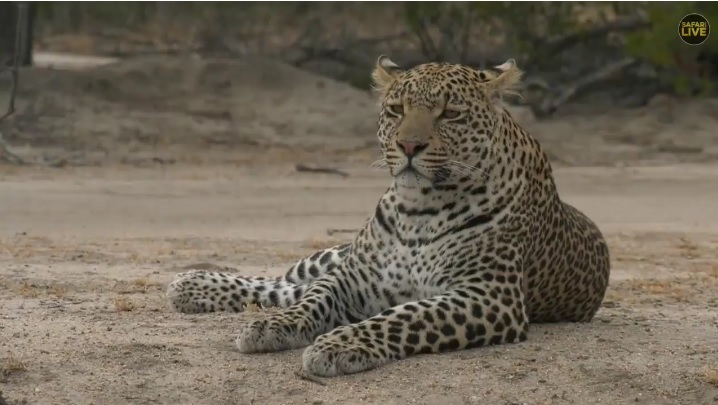 0MrsZero's tweet image. #WildEarth 💔💔💔💔💔💔💔💔💔💔