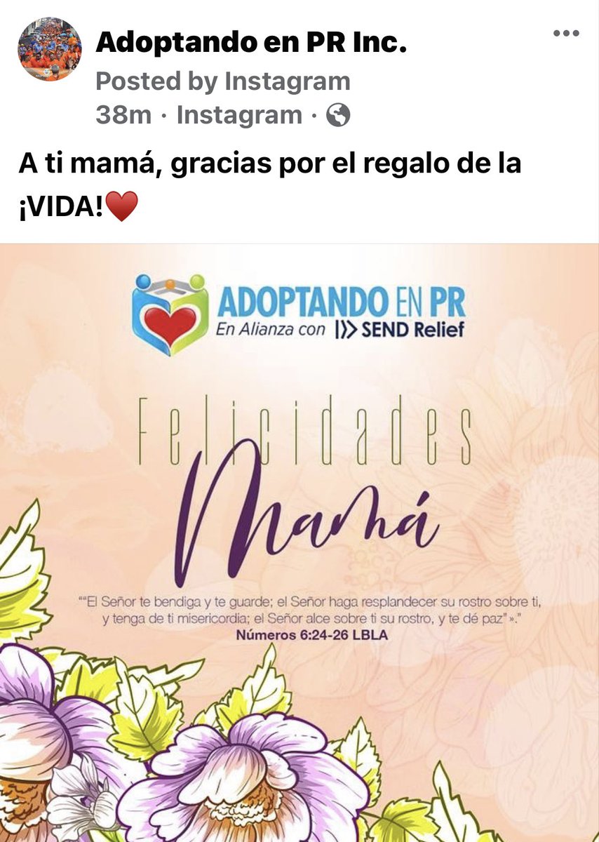 adoptandoenpr's tweet photo. https://t.co/RN6grZMZ1B