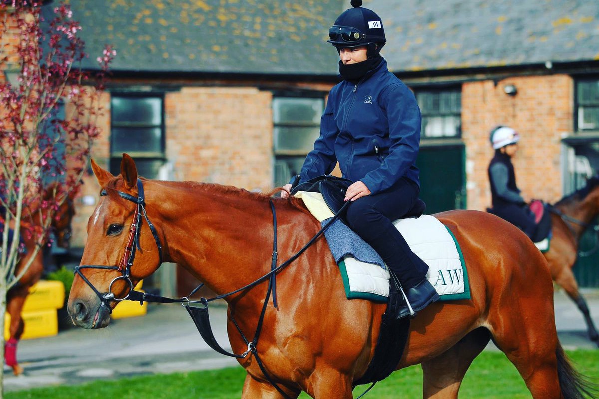 Brodie Hampson tweet media