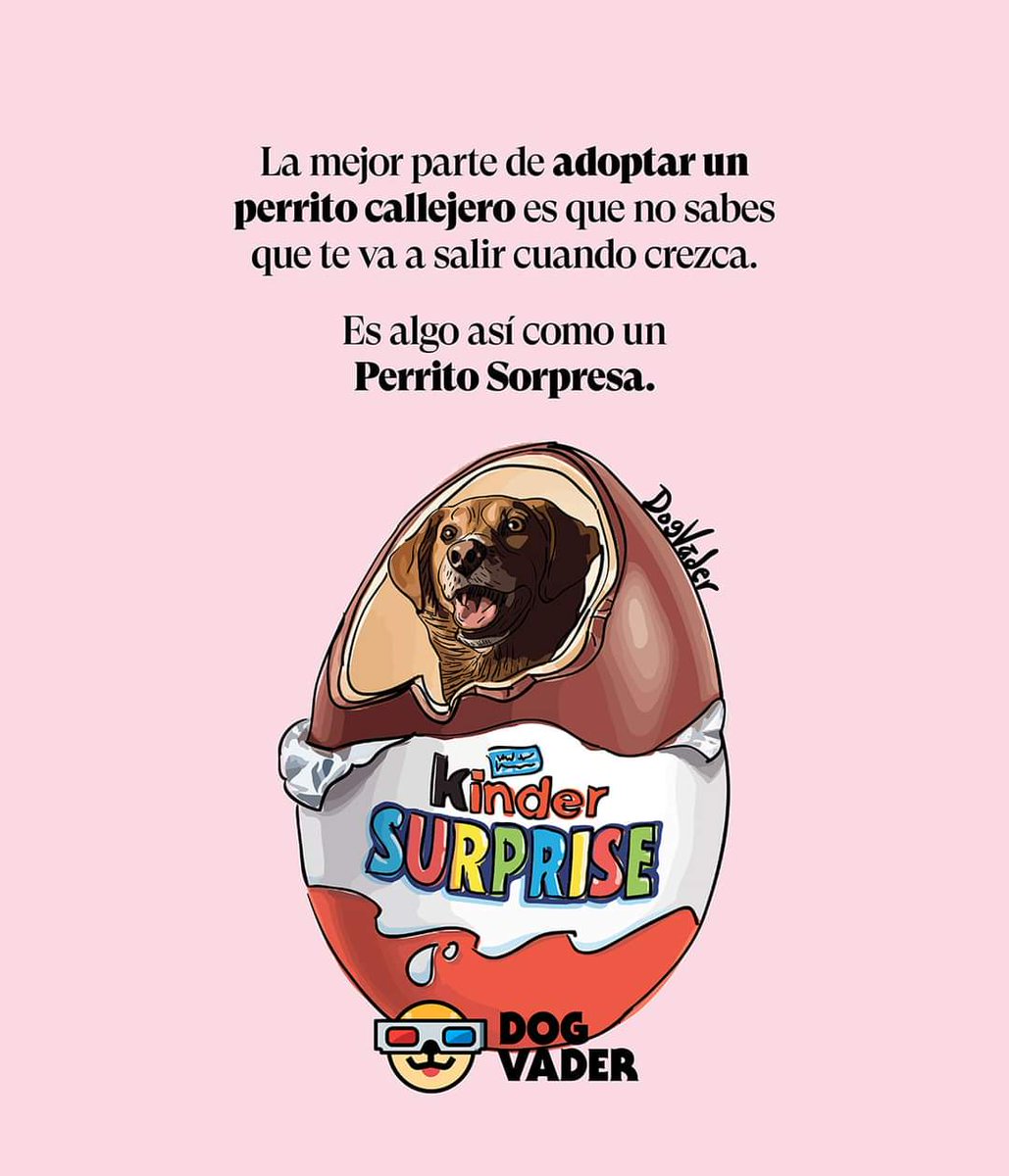 Frecda's tweet photo. #AdoptaNoCompres #TransformaUnaVida https://t.co/YbF6hGQh8F