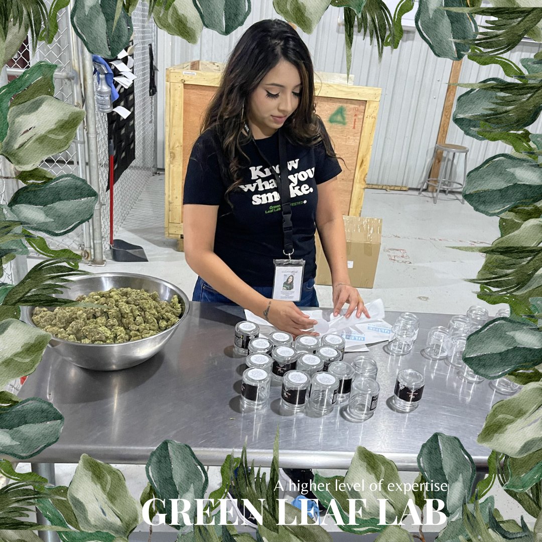 Going strong since 2011.  

#industryleader #iso17025 #labtested #womanownedbusiness #knowwhatyousmoke #greenleaflab #womeninweed #cannabiz #wetestthebest #higherstandard #highlyelevated #highsociety #terpenes #whatsinyourweed