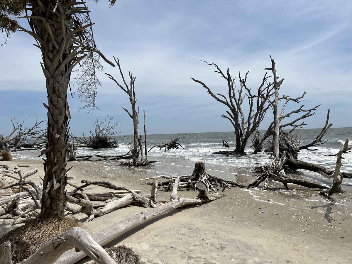 AgentSquids's tweet image. Hanging at Botany Bay in South Carolina…..