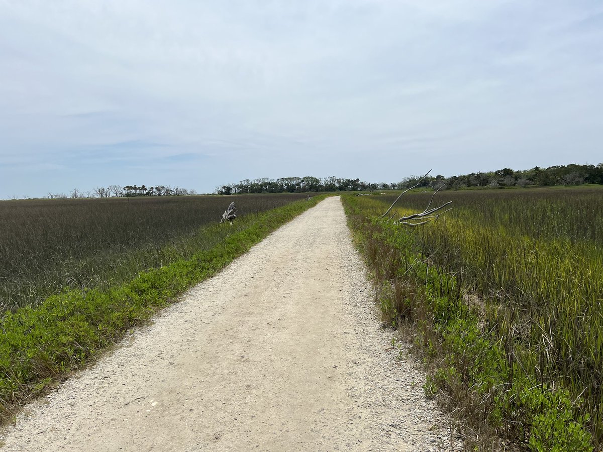 AgentSquids's tweet image. Hanging at Botany Bay in South Carolina…..