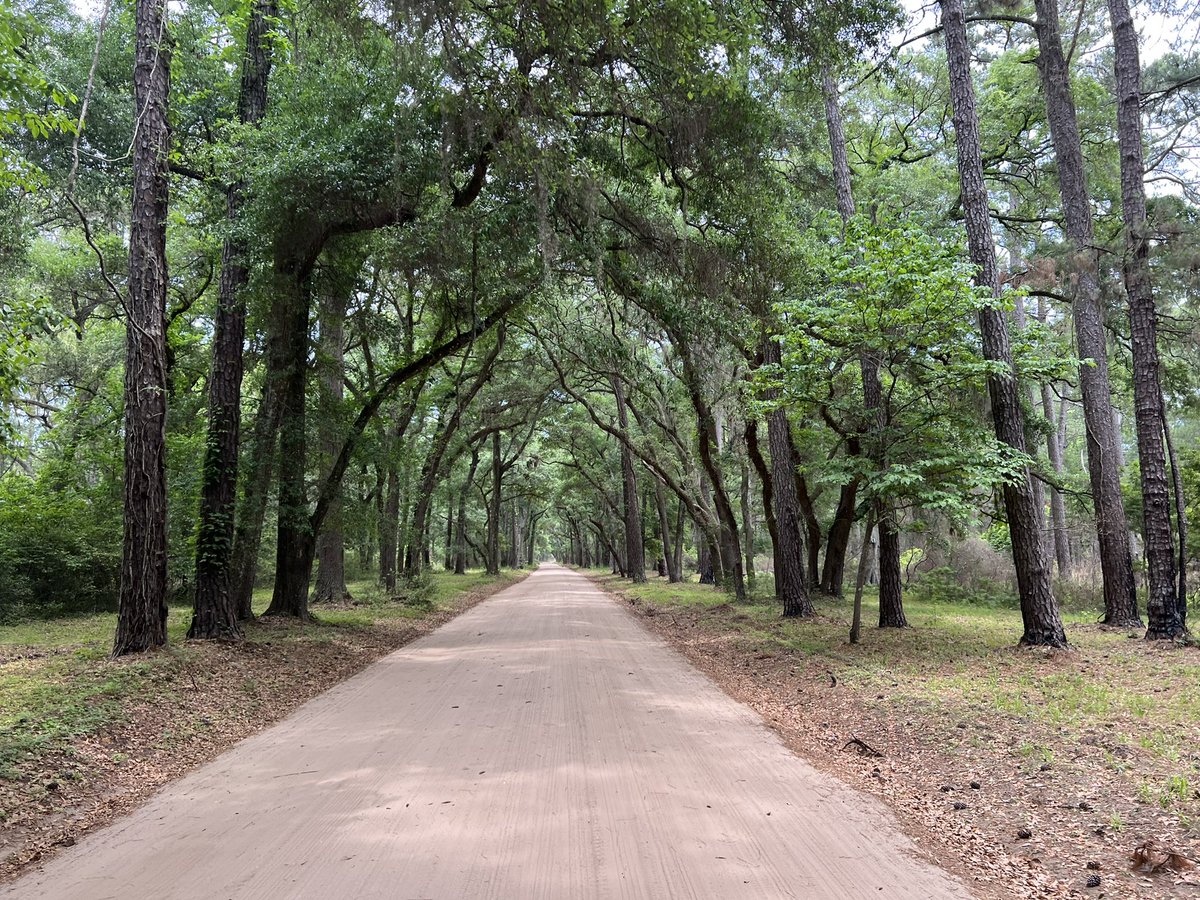 AgentSquids's tweet image. Hanging at Botany Bay in South Carolina…..