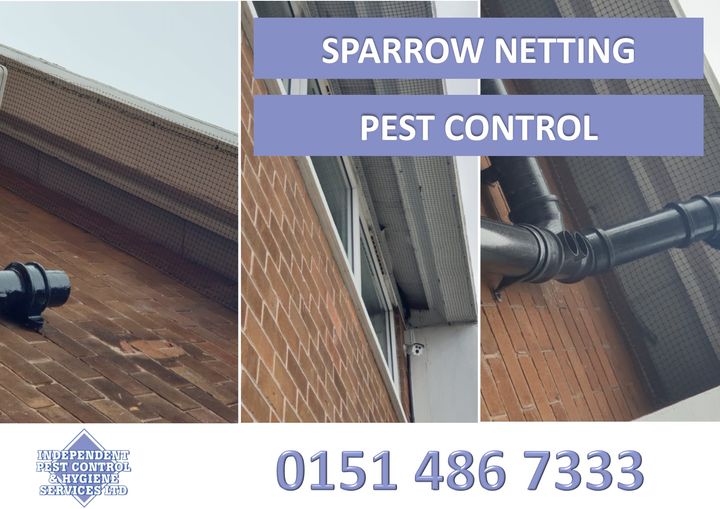 'The 'Bird Nesting Season' officially lasts until August.
If you are worried about birds nesting in or on your domestic or commercial property we provide a full range of bird proofing solutions.
Find out more ➡️ bit.ly/2V3Oqq5
#PestControl #Pest