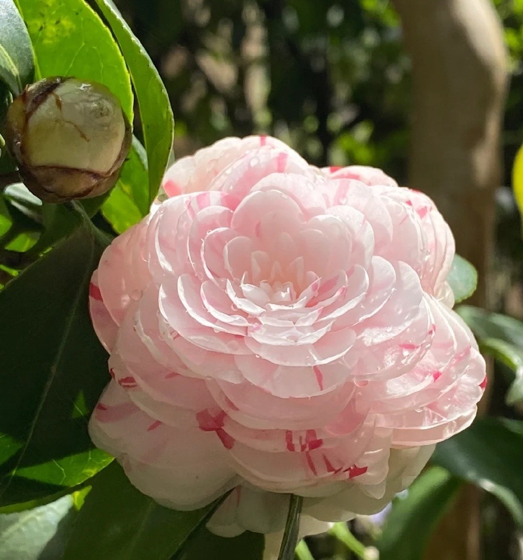 🌿🌼🧺 (@peacozy) on Twitter photo 