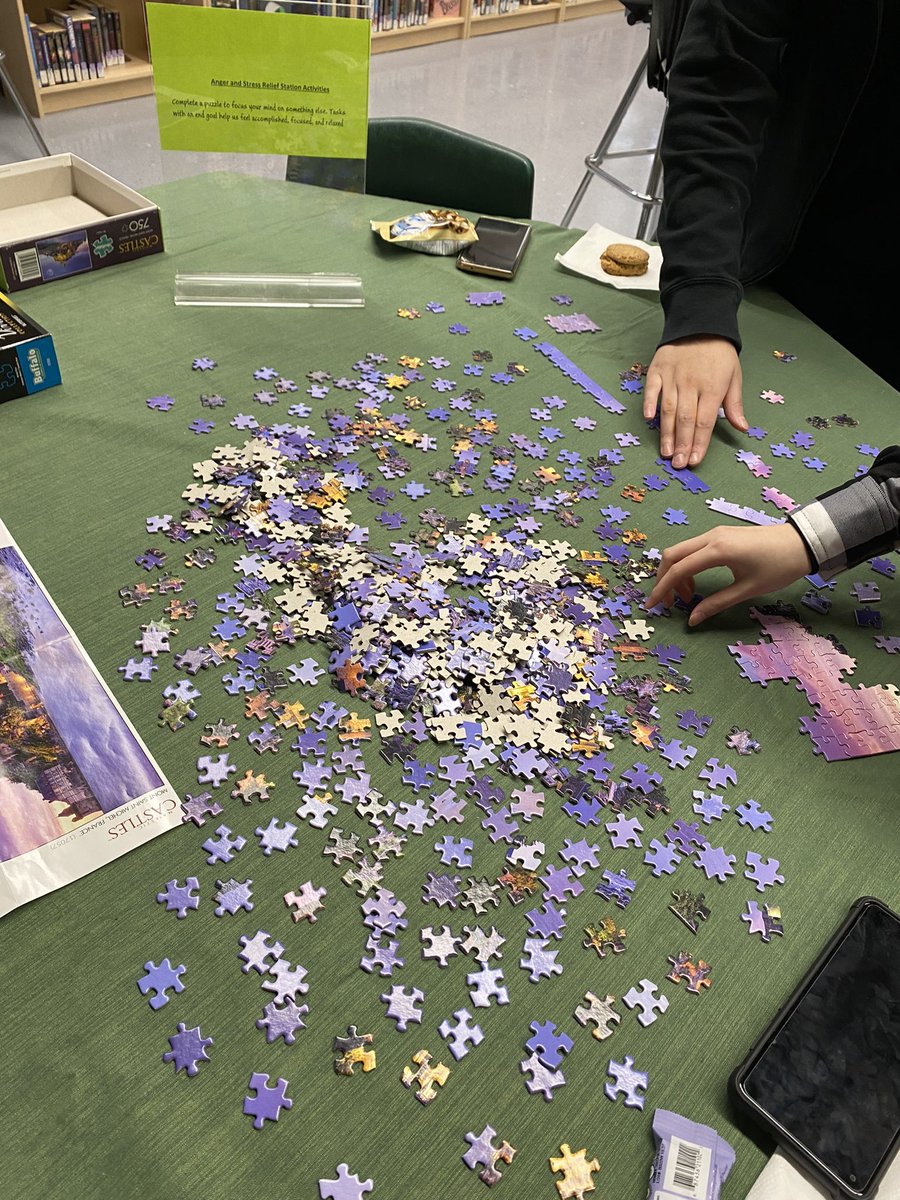 daniellepacey's tweet photo. More pictures from today’s mental health and wellness event. @Sherwood_HWDSB https://t.co/YLWVIFnZEH