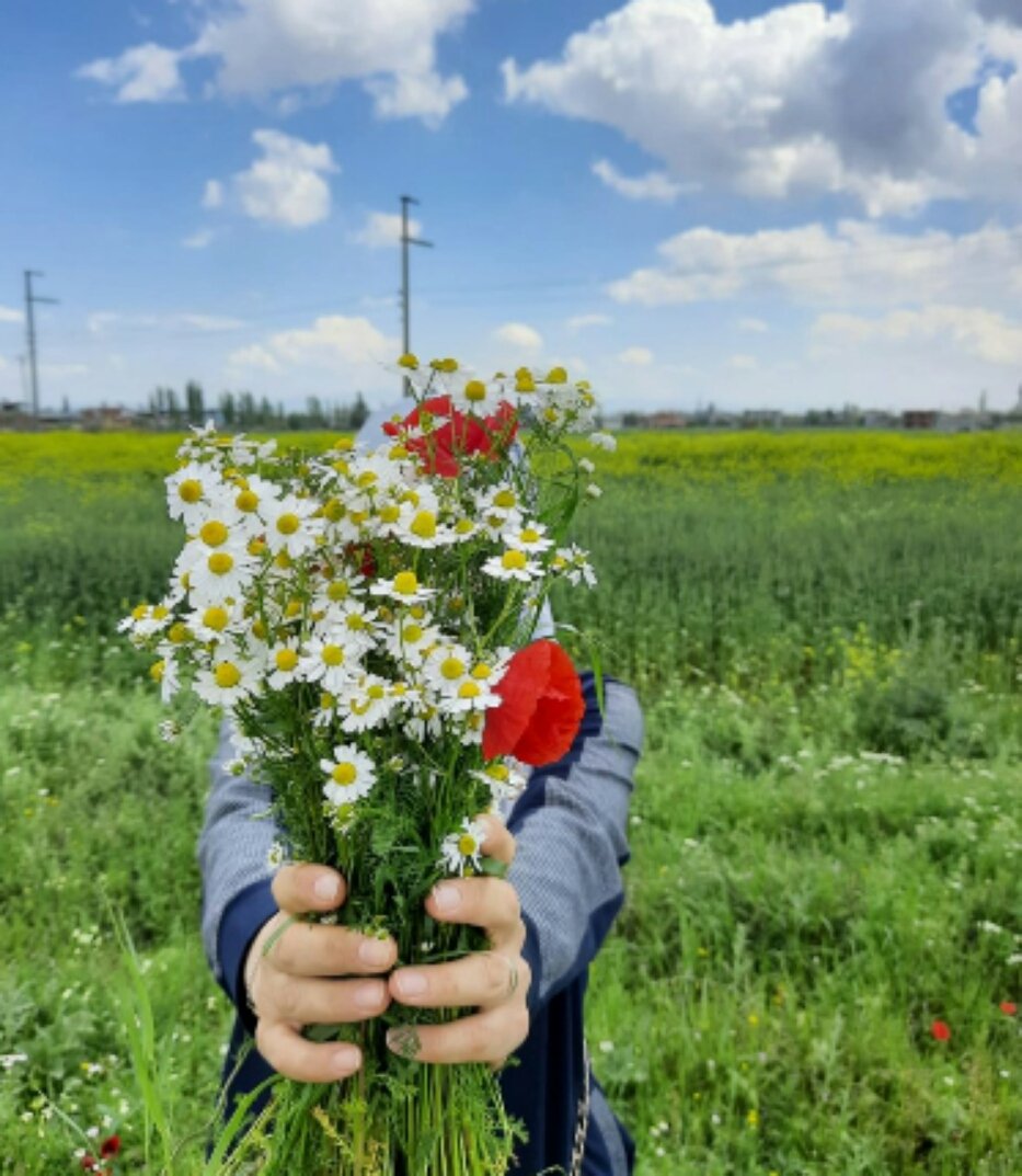 ve_orman's tweet photo. Bugün karşınıza çıkanlara yardım edin, bir hayvanı besleyin, yoldaki bir taşı kaldırın, iyilik yapın. Vermek aslında almaktır. En güzelleri bizi bulsun. #hıdırellez https://t.co/jcVX02btGl