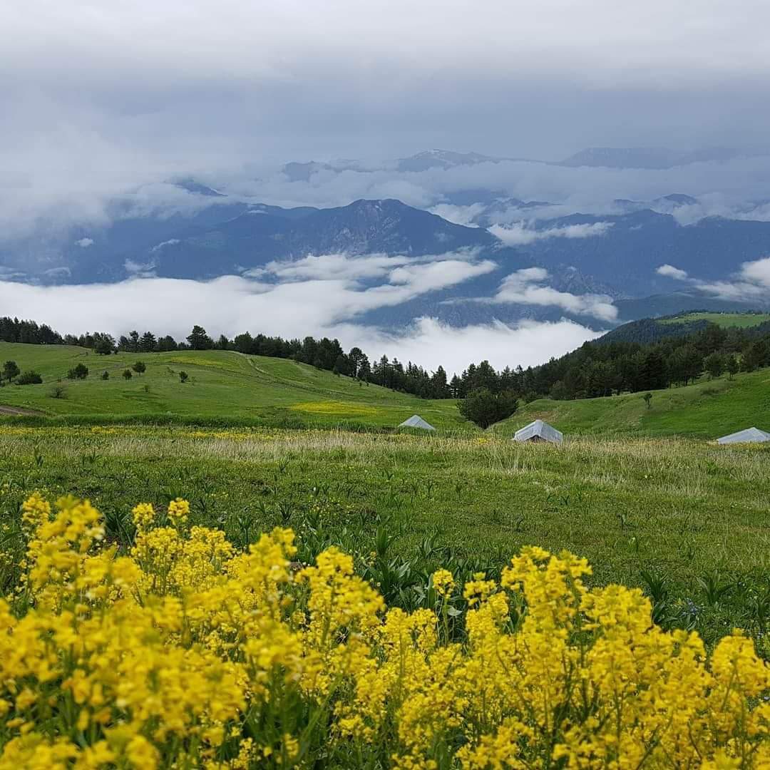 Bugün karşınıza çıkanlara yardım edin, bir hayvanı besleyin, yoldaki bir taşı kaldırın, iyilik yapın. Vermek aslında almaktır. En güzelleri bizi bulsun. #hıdırellez