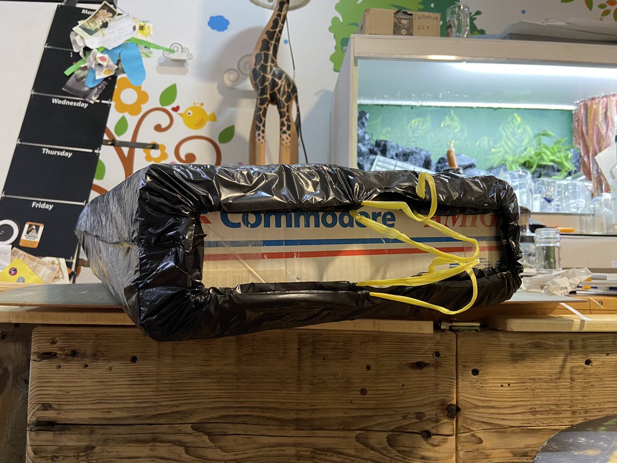 PadPoet's tweet photo. I can hear the screams of my other half already #Amiga #CommodoreAmiga #A500 #Amiga500 #chickenlips #Commodore #retro #retrogaming https://t.co/YRTOiTQIoA