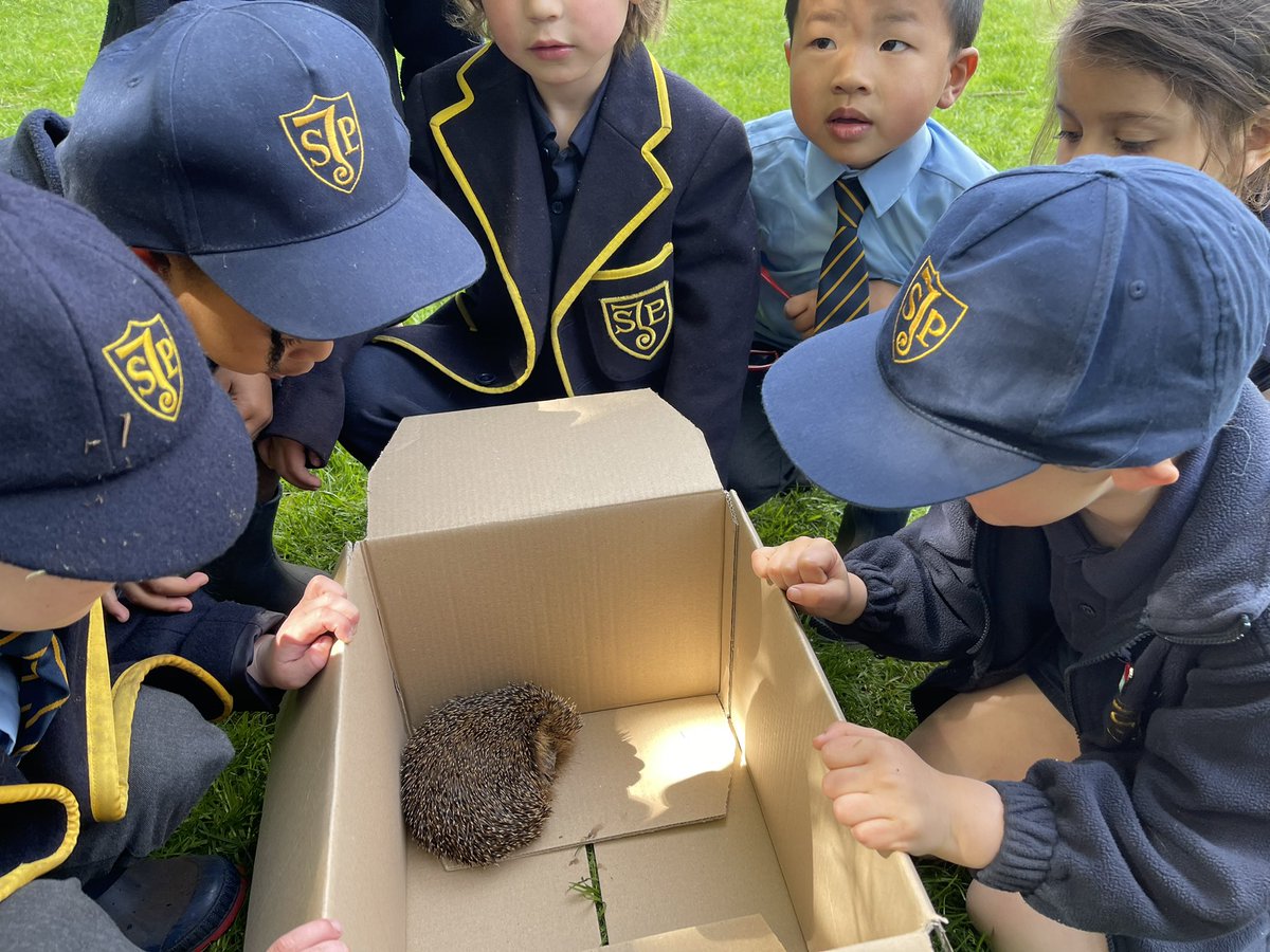 Today we rescued this little chap from the middle of St John’s Road #sjpvalues #hedgehogs #Banbury #Oxfordshire