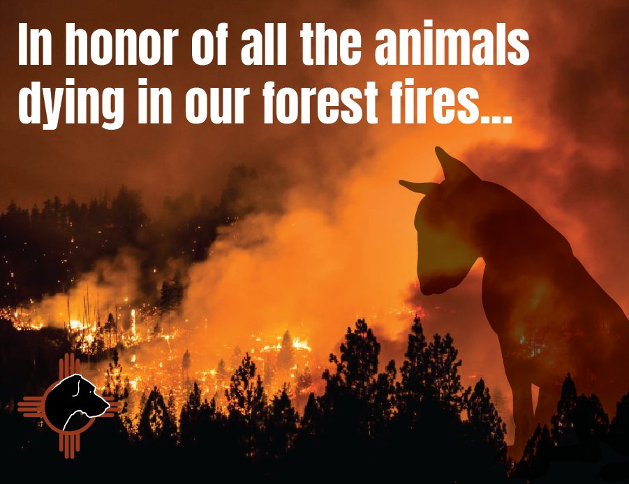 naturelifeline's tweet photo. RT @NMBewitched: #Wildfires
#NMDog
Here is the Animal Evacuation information for Nothern #NM
https://t.co/wLrMO22N9a
Take your #animals with you
If you see strays bring them along
Please leave when asked & be safe
#NMFires https://t.co/5hAyBYfzk3