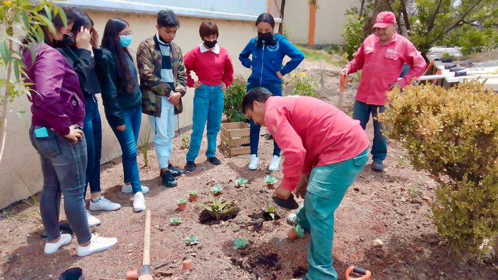 AmbienteEdomex's tweet photo. Una parte muy importante de la producción agrícola depende de los polinizadores. Por ello, alumnos de la Esc. Preparatoria 153 de #Tepotzotlán, realizaron con la #CGCE de la #SMAGEM, el establecimiento de un Jardín de Refugio para Polinizadores. https://t.co/4gmcqVn83H