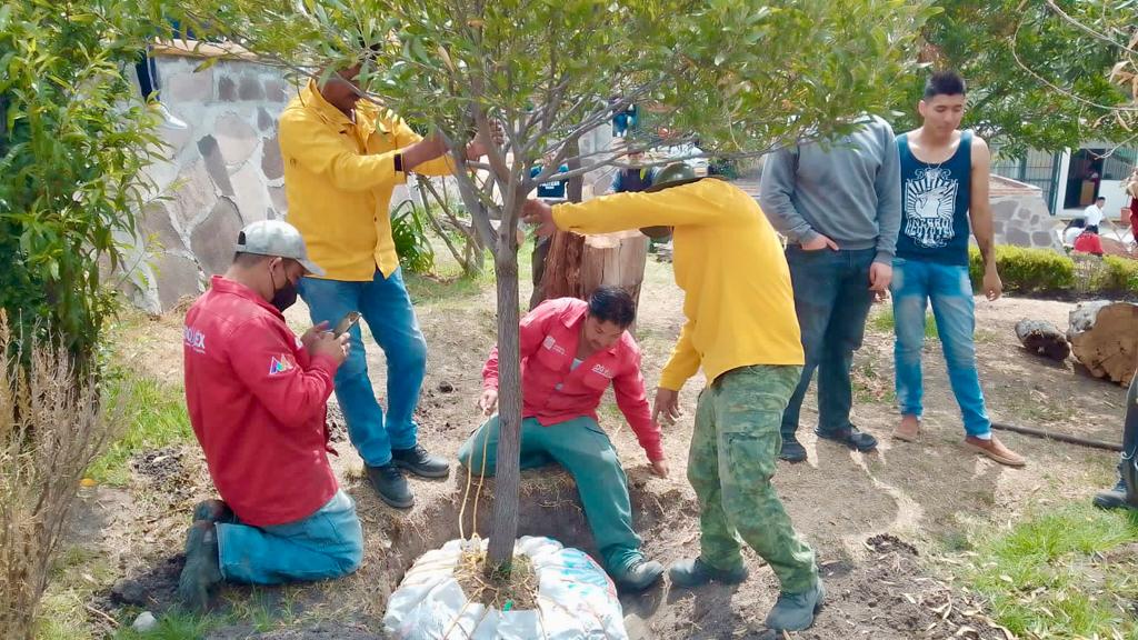AmbienteEdomex's tweet photo. Una parte muy importante de la producción agrícola depende de los polinizadores. Por ello, alumnos de la Esc. Preparatoria 153 de #Tepotzotlán, realizaron con la #CGCE de la #SMAGEM, el establecimiento de un Jardín de Refugio para Polinizadores. https://t.co/4gmcqVn83H