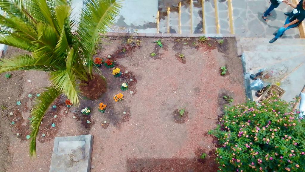 AmbienteEdomex's tweet photo. Una parte muy importante de la producción agrícola depende de los polinizadores. Por ello, alumnos de la Esc. Preparatoria 153 de #Tepotzotlán, realizaron con la #CGCE de la #SMAGEM, el establecimiento de un Jardín de Refugio para Polinizadores. https://t.co/4gmcqVn83H