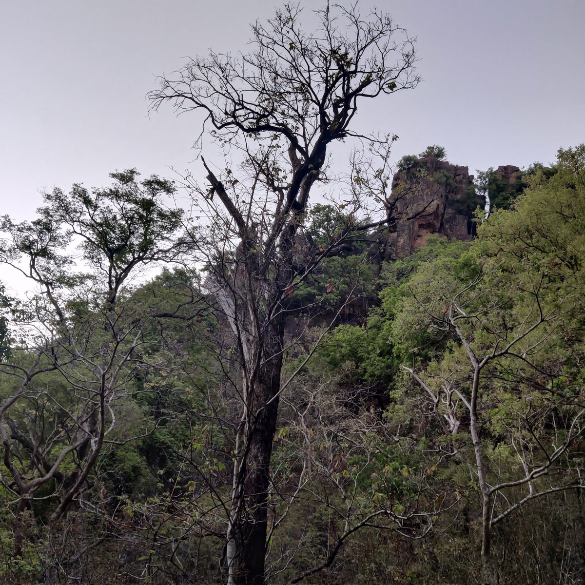 Rabipandacug's tweet photo. Me Time is the Healing Time!
#EveningTrekking
#NaturePhotography
#MagnificentMP https://t.co/S91pqAOQmQ