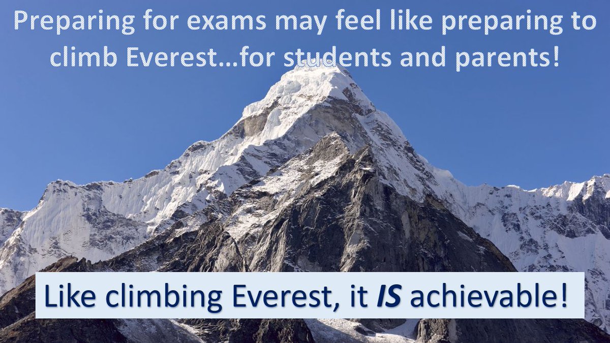 Mount St Joseph - Year 11 tweet media
