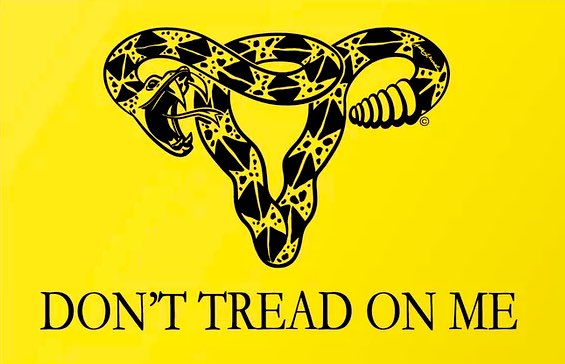 「Don't Tread On Me 🐍 Design by Anne Lesn」|Jen Bartelのイラスト