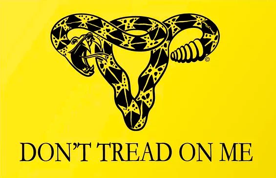 Don't Tread On Me 🐍 Design by Anne Lesniak, a student at Ringling College who appears to (smartly) not be on Twitter but *is* on s6 if you wanna get a "wall tapestry" aka protest banner/flag: https://t.co/Dt3SUwsvJg 