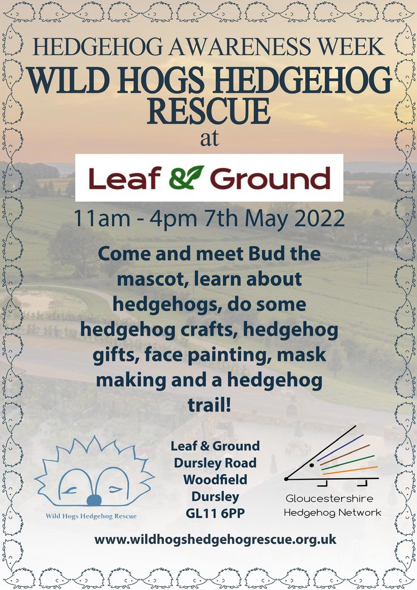 Wild Hogs Hedgehogs Rescue tweet media