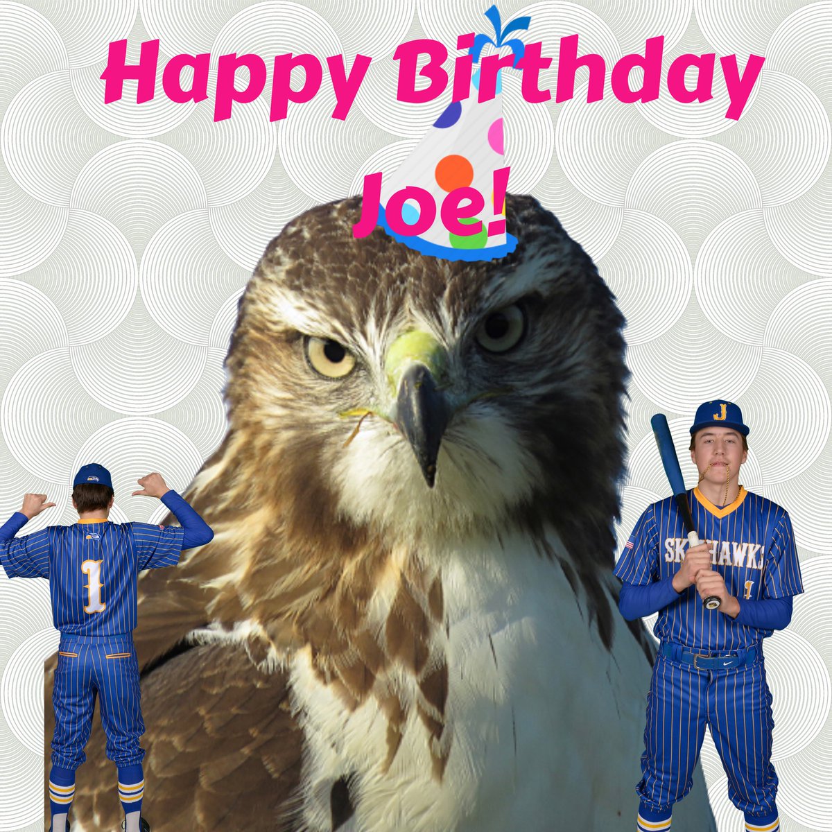 JBurgBaseball's tweet photo. Happy Birthday to our very own Big Bad Joe Wolff! (@JoeWolff20 )  This #MultiSportSkyhawk is a great young man ⚾️🏀🏈 Hope you have an awesome day Joe!! @JHSSkyhawks 
@JohnsburgSD12 🟡🔵⚾️🦅 https://t.co/CRh8aizZvr