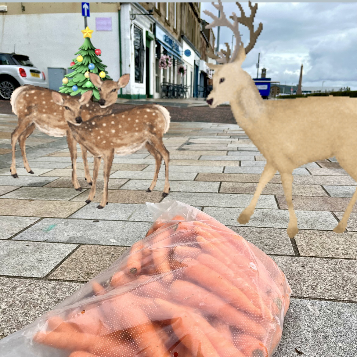 oldechristmas's tweet photo. With 233 sleeps still to go we think itβs a bit too early to be getting the carrots in for Rudolph and crew!! π₯ π¦
Has anybody lost a sack of carrots on West Clyde Street? π₯π°π€·π»ββοΈ
#carrots #reindeer #offthebackofalorry #easterbunny #233sleepstogo #santa https://t.co/prgUqIyEeb