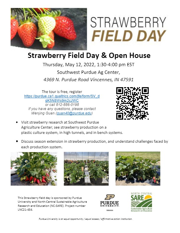 Strawberry Field Day - May 12, 2022  #strawberries