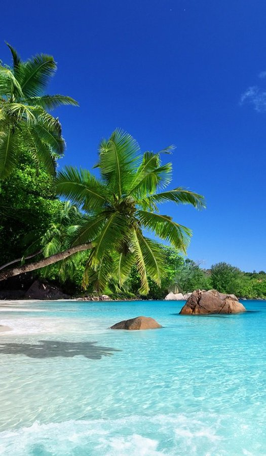 Travitinerary's tweet photo. Happiness🌴🌞 is a day at the Beach🏖️ https://t.co/hfrDod4Cxa