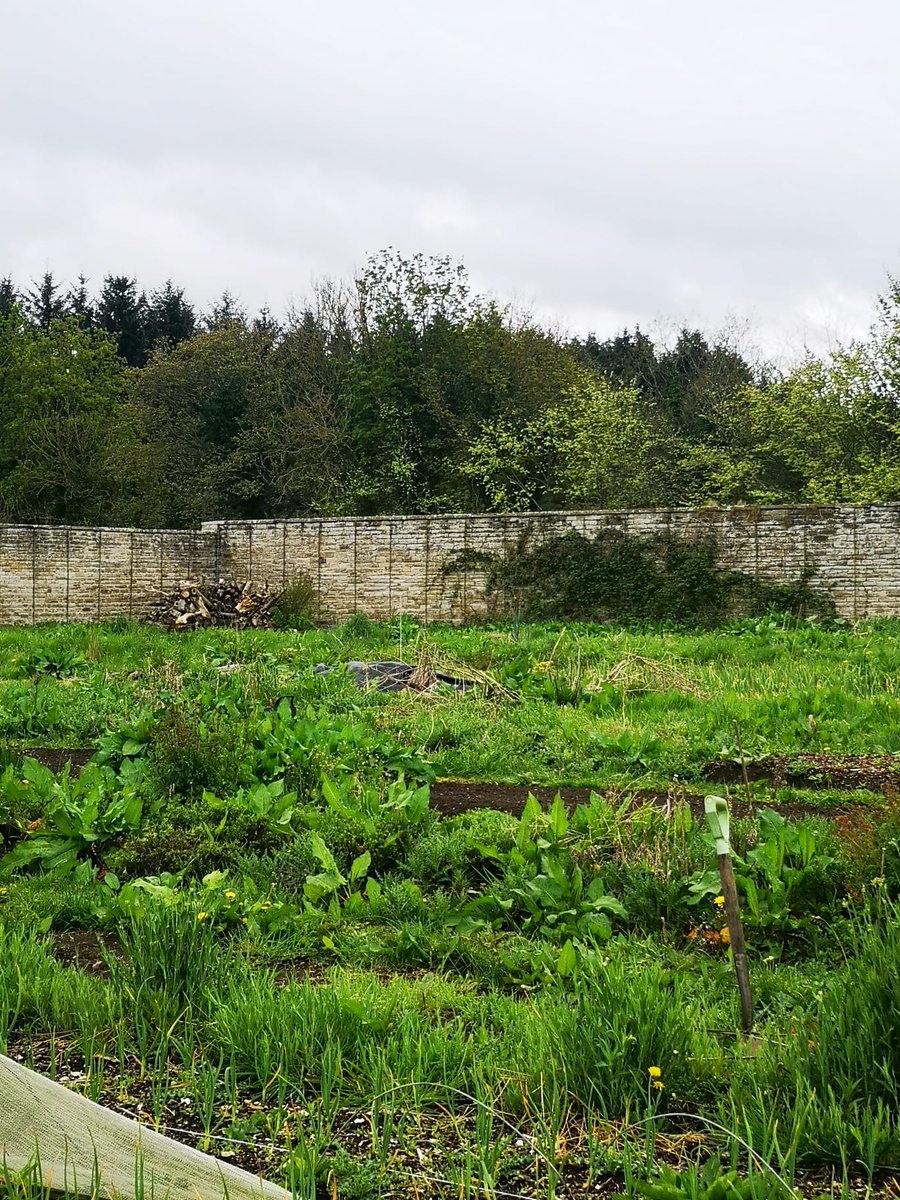 CovenantTrust's tweet photo. Leigh and Steven from the Trust's team are in #Wilkieston #WestLothian this afternoon as part of #SVWALaunch. They have been to see Georgian walled garden at Linburn. The project is helping #veterans by providing wellbeing activities #SVWA #VPPP @SightScotland  @Cyrenians1968 https://t.co/o9cJpGXNM6