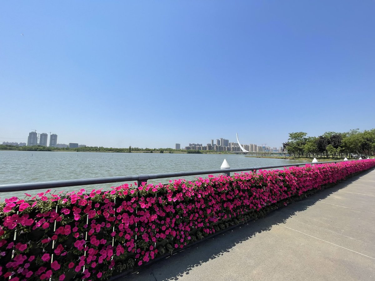 CathayanC's tweet image. 🚴