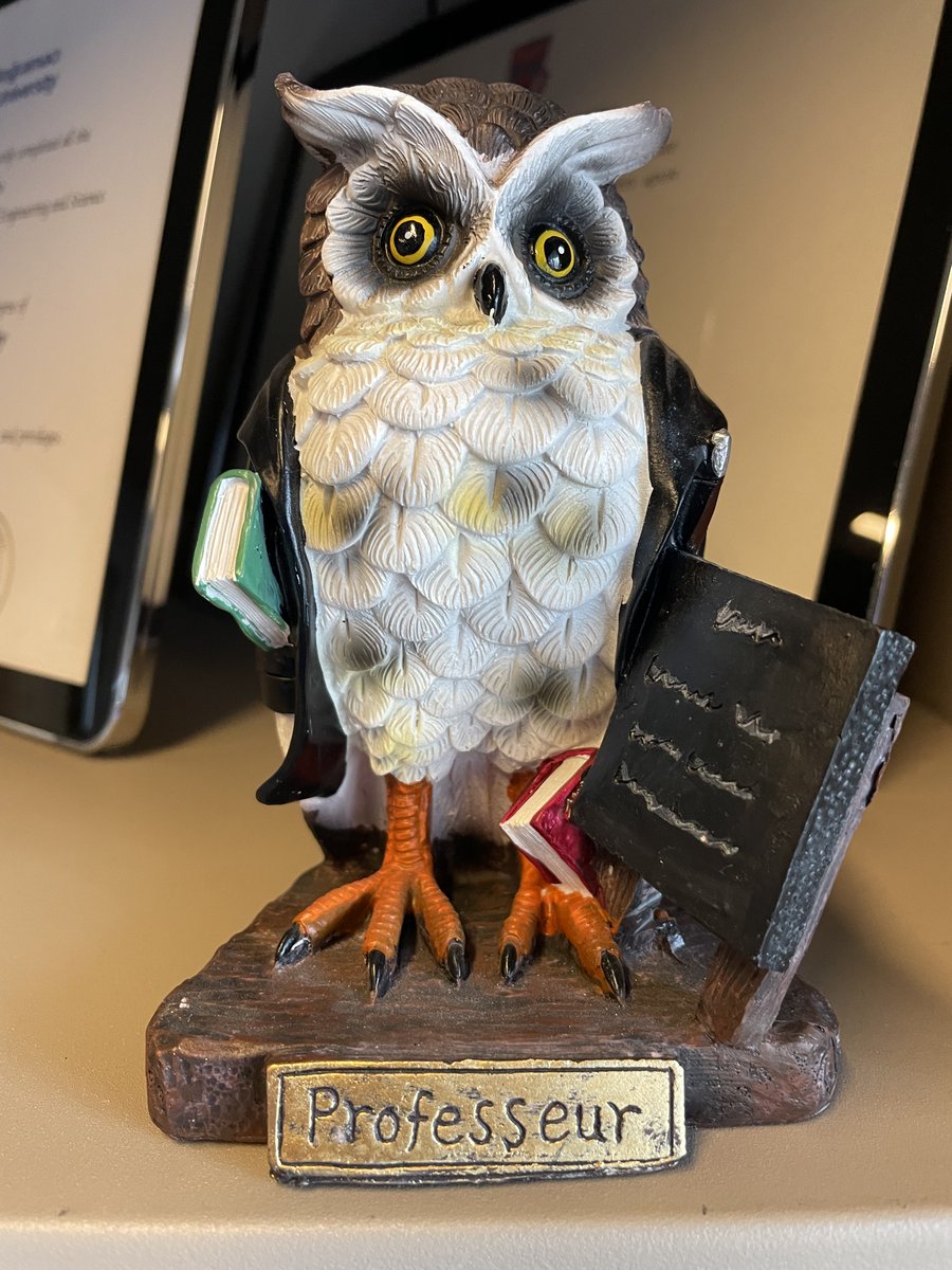 Evren Mutlugün tweet media