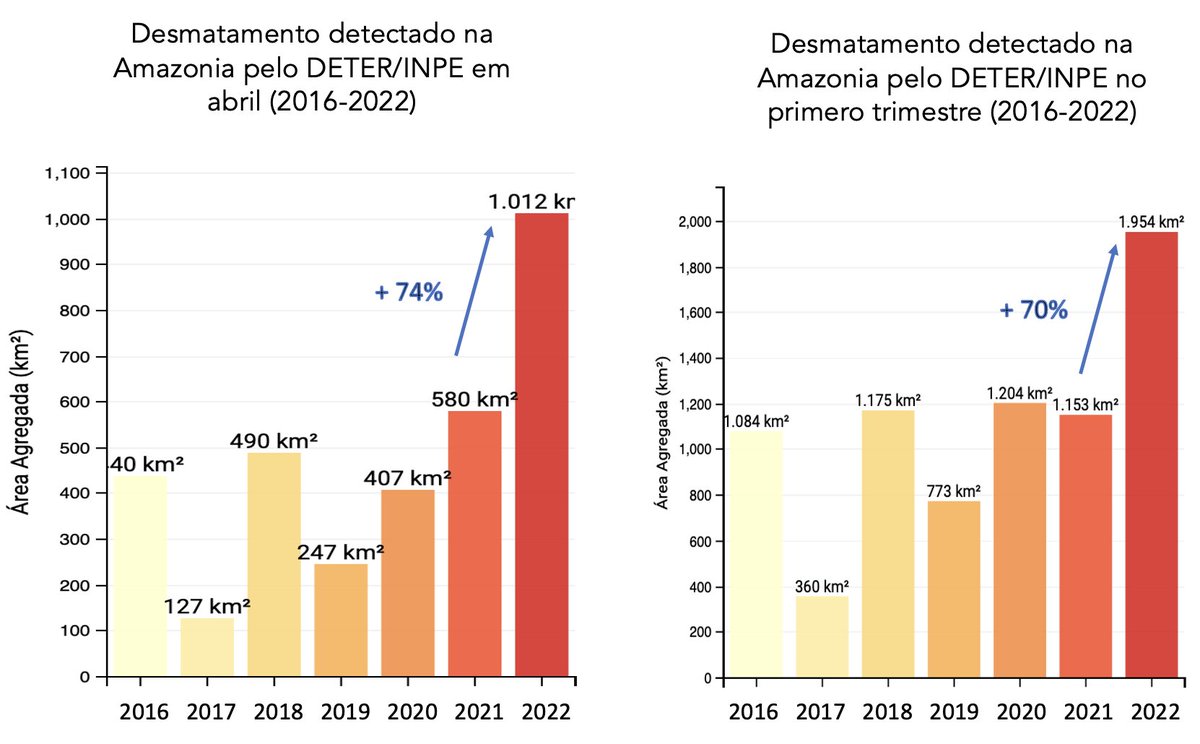 Tasso Azevedo tweet media
