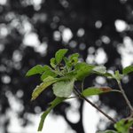 Photo by Biswajeet D (@sujaydeepPh)